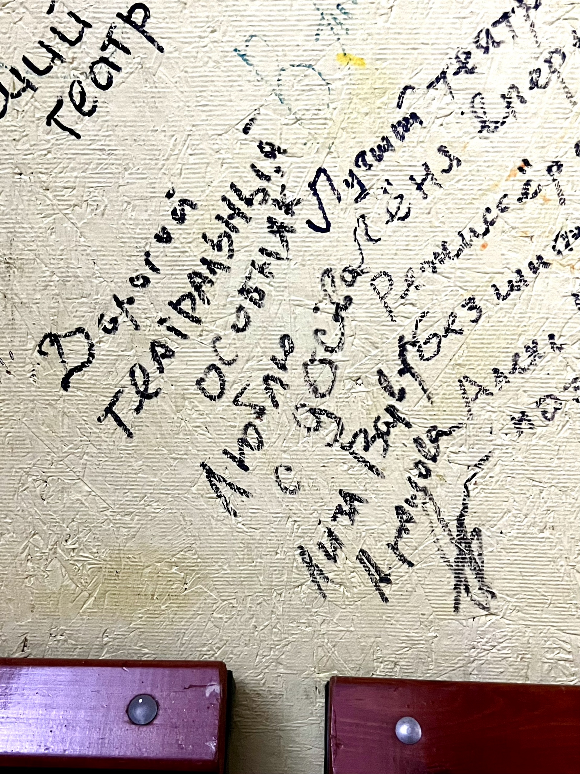 Стендап-комик Лиза Аранова о театре